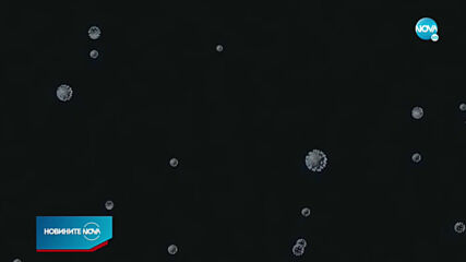 Новините на NOVA (21.12.2020 - 9.00)