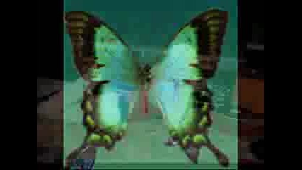 Tommy Lee -I Need You