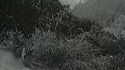 Операция Кобра ( 1960 )
