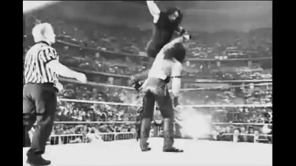 Undertaker 19-0
