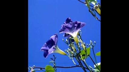 super 2010