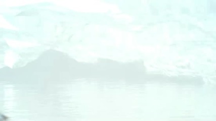 Discovery 