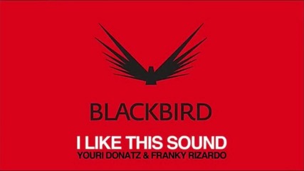 Franky Rizardo - I Like This Sound 