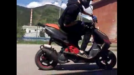 P.kondev Stunt Rider