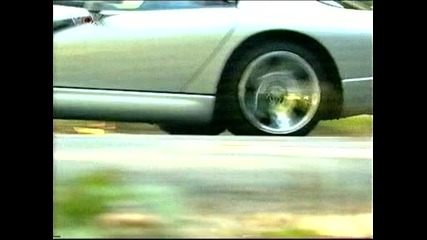 Viper_race