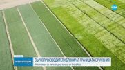 Зърнопроизводители готвят блокади на границата заради свободния внос от Украйна (ВИДЕО)