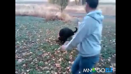 Разгонено куче сваля дете