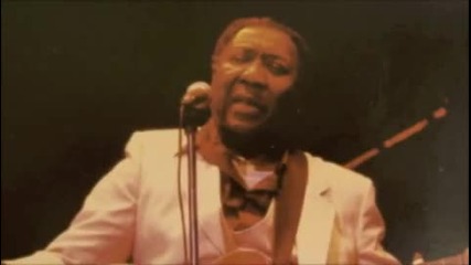 Muddy Waters - I'm A King Bee