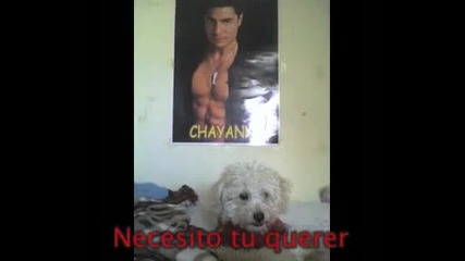 Chayanne - Te necesito