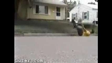 nice_skateboard_jump
