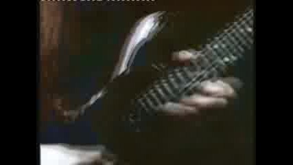 Carcass - No Love Lost