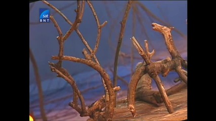 Приказки за света: Приказка за животните (2000) (бг аудио)