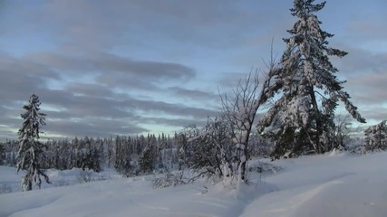 Красотата на зимния сезон