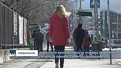 Аварийните екипи в София се отзоваха на десетки сигнали за паднали дървета и билбордове