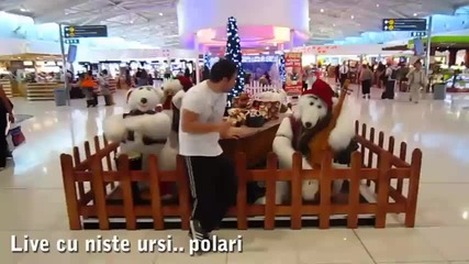 Tom Boxer dancing with bears @ Larnaca Airport [2010]