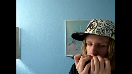 Zimpe Harmonica Freestyle Home