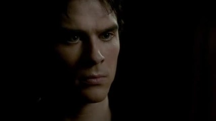 Damon Elena fight 3x19 and Rose sentence