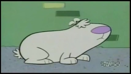 2 stupid dogs - Bauff