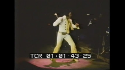 Elvis - Live Live Live 2010 (limited Dvd) 