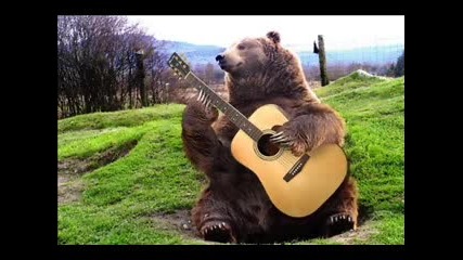 Животните Също Се Обичат ;)