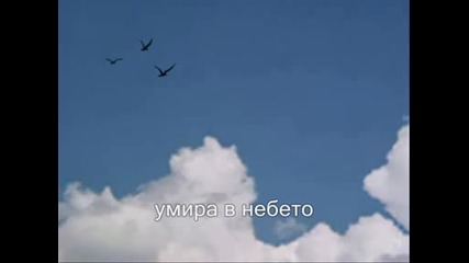 Notis Sfakianakis - O Aetos Превод