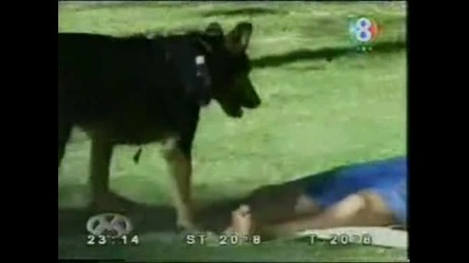 А, Кой Ме Изненада Отзад?