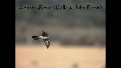 Drum 'n bass с български мотиви! Apashe - Ritual (kelle & Juha Remix)