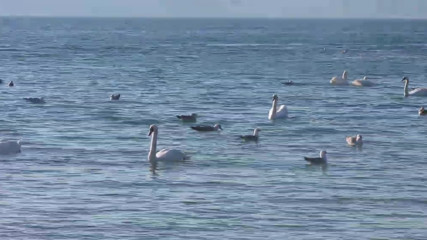 Varna - Black Sea Coast today 016