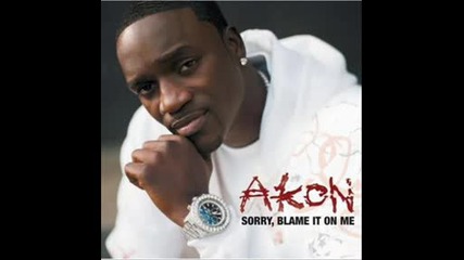Akon - Sorry,  Blame In On Me