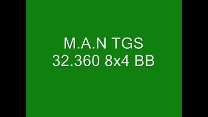 Man Tgs 32.360 