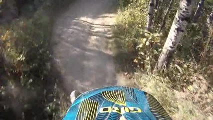 safari planet steeze Video