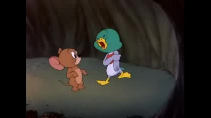 Tom &amp; Jerry  -  The Duck Doctor