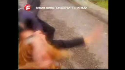 Дивата Котка Промо 2