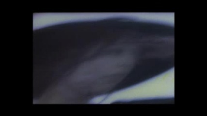 General Base - I See You