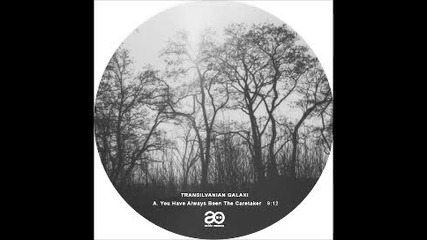 Transilvanian Galaxi - You Always Have Been The Caretaker
