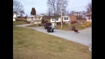 Extreme Reverse Wheelie