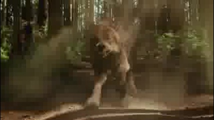 New Moon - trailer 4