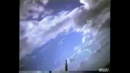 Another Bird Takes Down Plane
