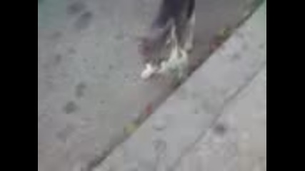 Томбола 2 - Наградата 