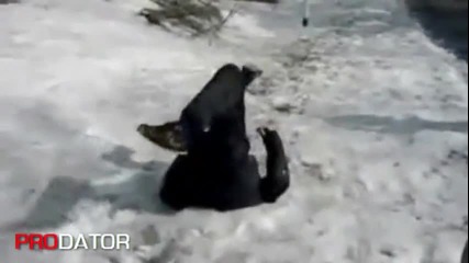Пиян Руснак Прави Предно Салто (смях)