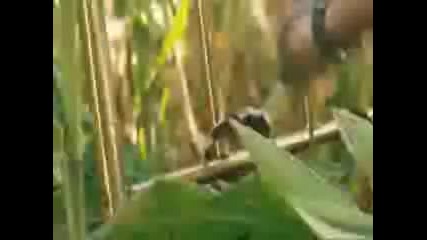 Секс на скорост - Филм 