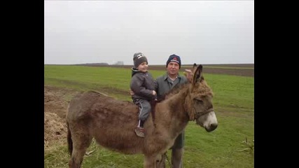 Сладкия Боби
