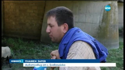 Втори случай на антракс във Варненско