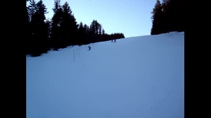 Amateur skiing (tsveti)