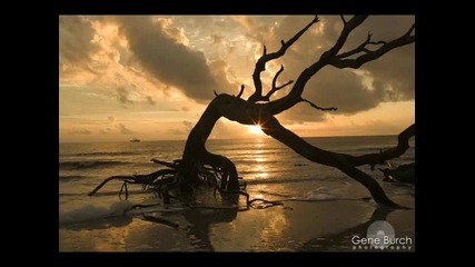 driftwood - anything goes 