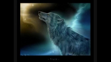 Alone Wolf (violin)