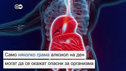 как алкохола влияе на тялото ни