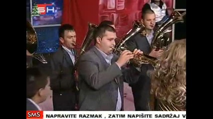 Jelena Brocic - Zvezda Danica