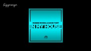 Robbie Rivera And David Tort - In My House ( Original Mix )