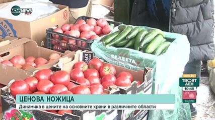 Каква е динамиката в цените на основните храни в различните региони